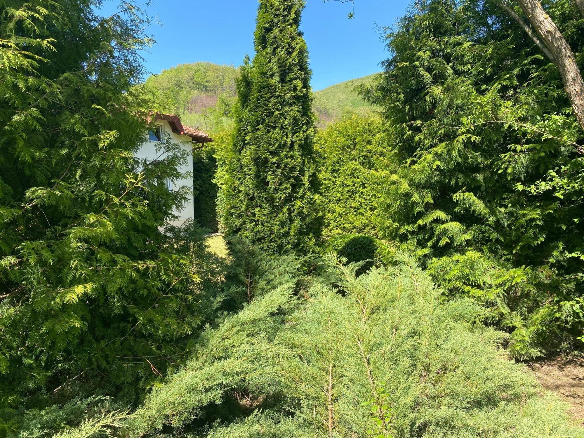 Villa Nana Kulen Vakuf Exterior foto